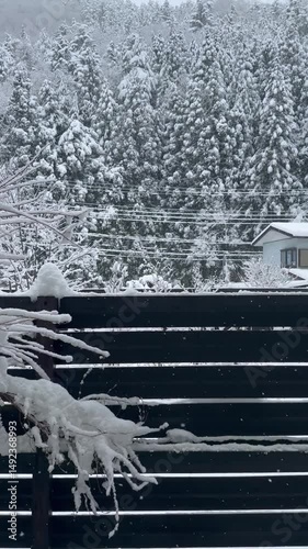 winter landscape with snow and trees