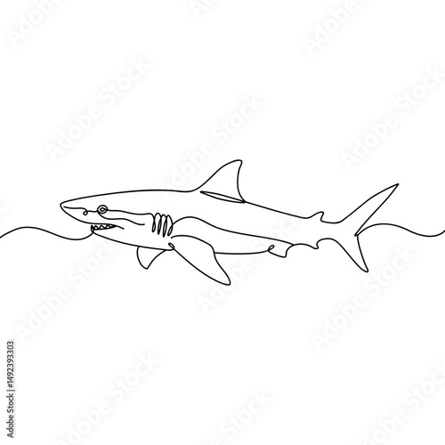 Outline of the profile of a shark in one line