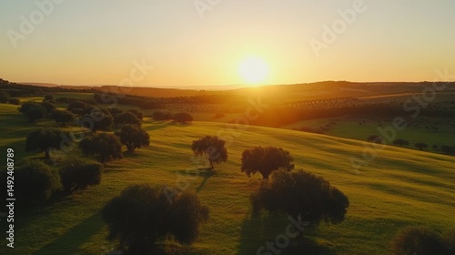 Alentejo, Portugal at sunset looks beautiful. You can see green fields and oak trees from above.
