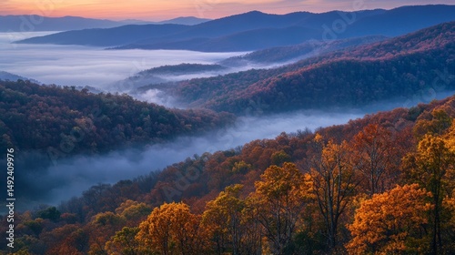 From above, a foggy morning shines over dark hills. Mountain trees peek through the mist as the sun rises in autumn. It's a pretty view of the woods at daybreak.

