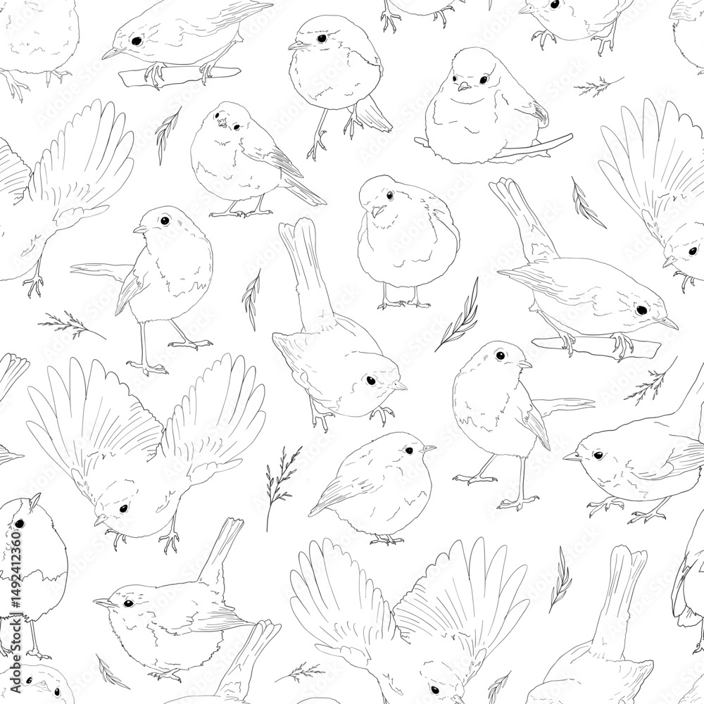 Fototapeta premium Robin birds line art seamless pattern, outline clip arts of European birds background, coloring book birds pattern