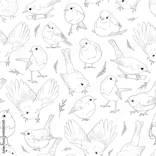 Robin birds line art seamless pattern, outline clip arts of European birds background, coloring book birds pattern