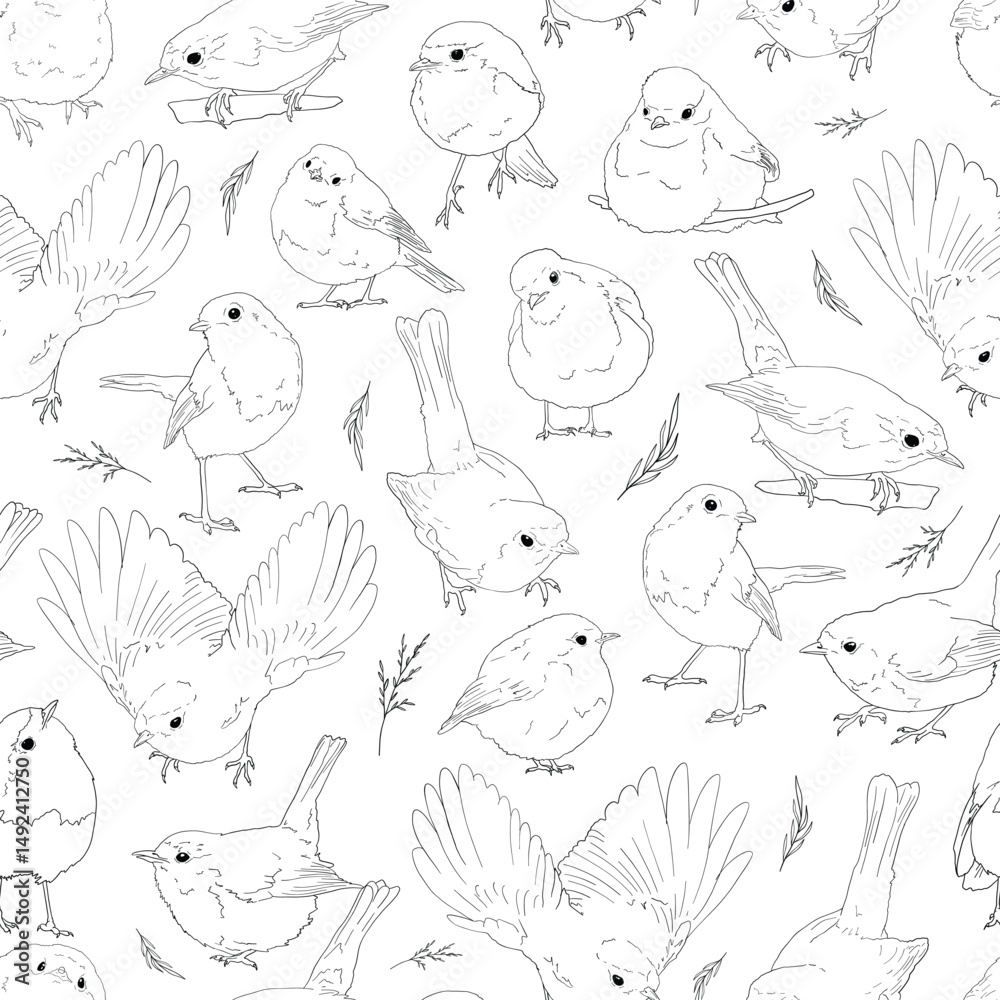 Fototapeta premium Robin birds line art seamless pattern, outline clip arts of European birds background, coloring book birds pattern