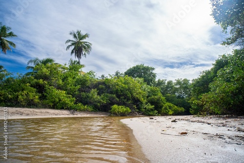 Tropical beach with lush greenery and palm trees.