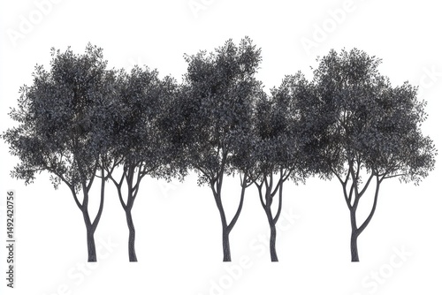 Four dark trees in a row against white background