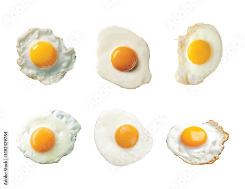 Realistic sunny side up eggs vector isolated on white background. Runny yolk fried eggs vector 