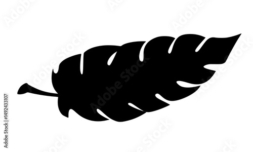 Black silhouette style leaf icon illustration on transparent background features simple and elegant natural shape, ideal for nature, organic themed designs or versatile graphic decoration.