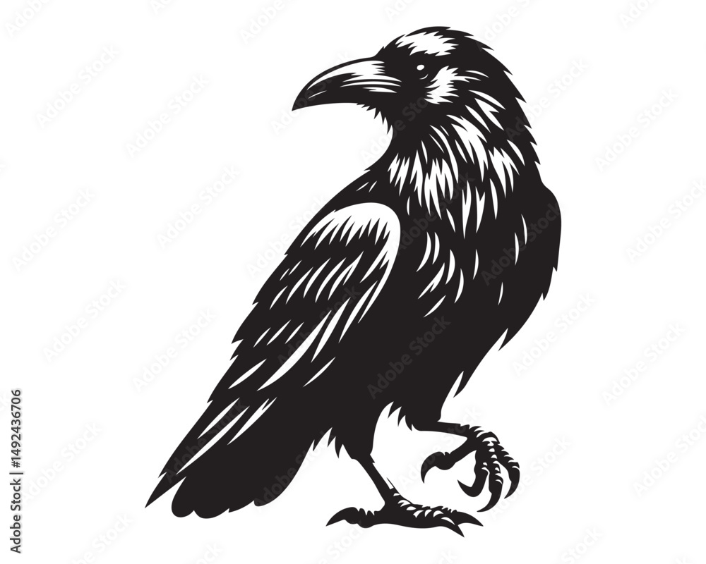 Fototapeta premium Raven 6.eps