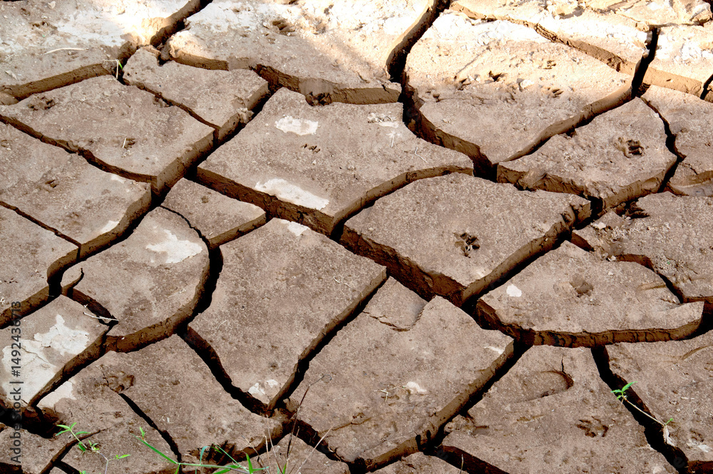 Obraz premium Ground cracked by drought