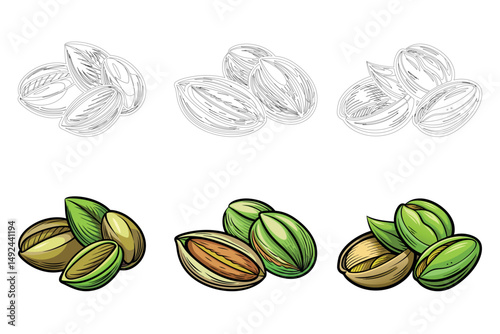 Illustration of pistachios in color and sketch isolated on a white background