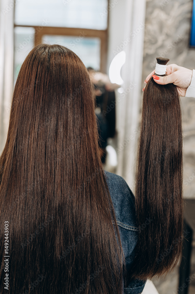 Fototapeta premium Hair stylist matching extensions to a woman’s long dark hair in a modern salon. Back view of hair lengthening procedure. Beauty treatment and professional haircare concept.