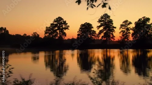 Silhouetted trees reflecting in calm lake at sunset