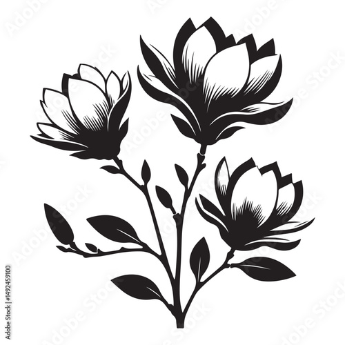Magnolia Flower Blossom Silhouette A Symbol of Beauty and Nobility