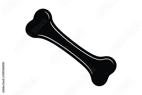  bone vector illustration