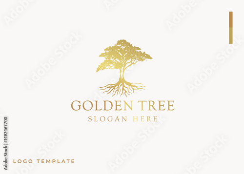 Oak tree luxury logo vector design