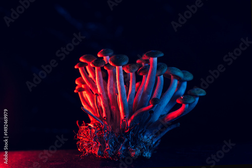 A picture of white Japanese mushrooms on a black background is accompanied by colorful lighting, food, and fungal therapy.	
