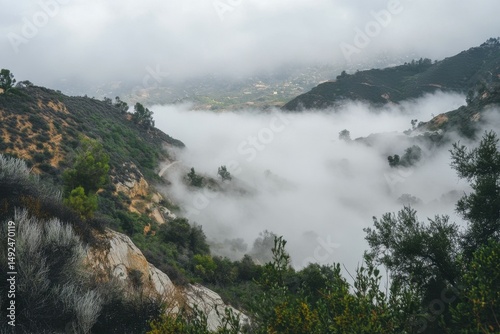 A peculiar fog rolls into the valley, causing anyone who enters it to relive their happiest memory