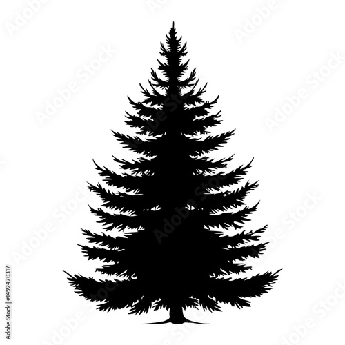 Black silhouette of a detailed pine tree with symmetrical branches on a white background. Concept of nature, wilderness, and evergreen forests