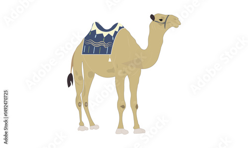 Camel with Saddle Illustration on a white background