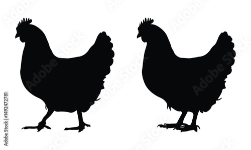 Chicken, Rooster, and Hen Silhouettes in Black Isolated on a White Background