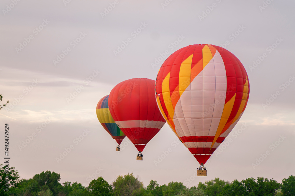 Obraz premium Brightly colored aerostat balloons ascend above a vibrant forest
