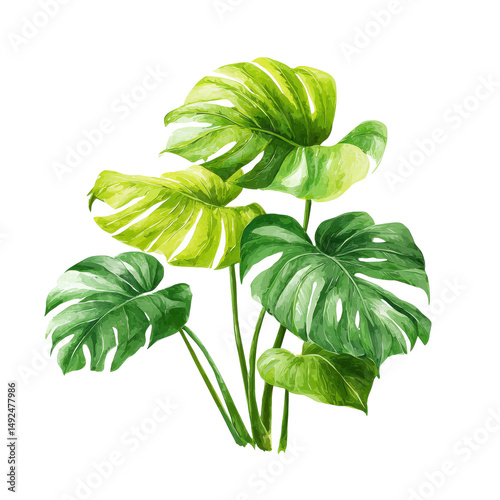 Stunning Tropical Plant Illustration , isolated on white background png