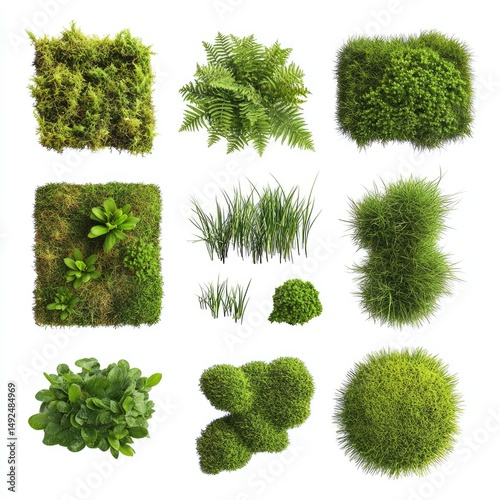 Assorted Green Plants in Square and Round Patterns