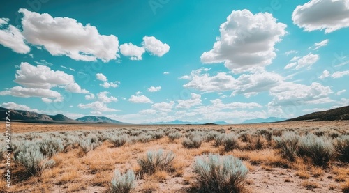 Vast desert landscape under a vibrant blue sky.  Fluffy clouds drift across a clear cerulean expanse above a flat, arid plain dotted with low, gray-green shrubs. Distant mountains form a hazy backdrop