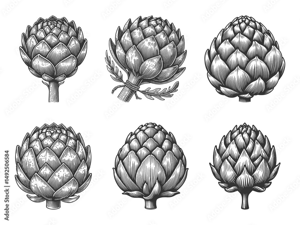 Fototapeta premium artichoke Set collection bundle sketch engraving generative ai raster illustration. Scratch board imitation. Black and white image.