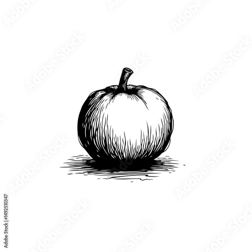 Minimalist rendition of a pumpkin conveying a sense of autumnal harvest season