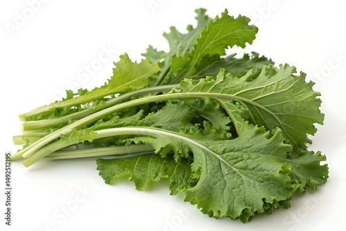 Fresh Mustard Greens on White Background