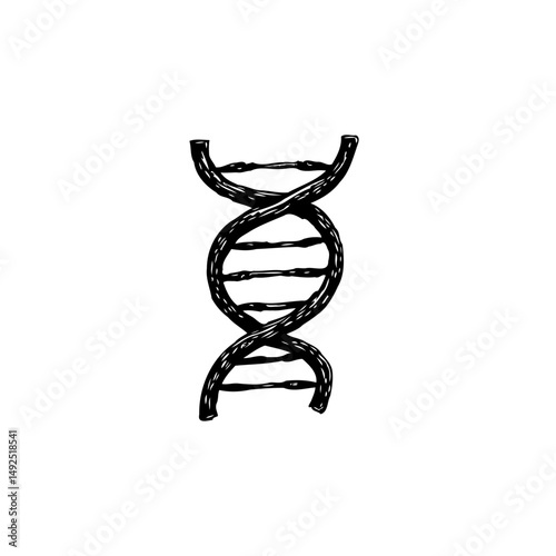 Stylized DNA strand illustration emphasizing genetic architecture and cellular information