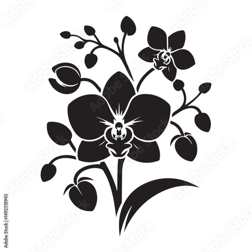 Silhouette Elegant Orchid Flower Vector Illustration Detailed Design