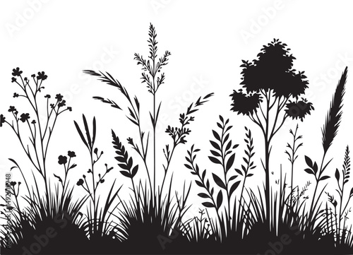 Silhouette Meadow Wild Grass and Flower Vector Illustration Design