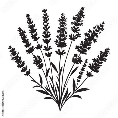 Charming Lavender Flower Silhouette Vector Illustration Bunch Design