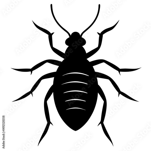 Black Silhouette of a Bed Bug Insect Pest