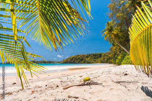 Fototapeta Naklejka Na Ścianę i Meble -  Beautiful beach with palms and turquoise sea in Jamaica island.