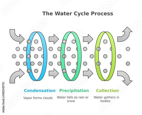 The water cycle process illustrated with condensation, precipitation, and collection