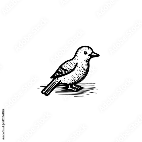 Monochrome illustration of a bird perched, exhibiting a classic design approach