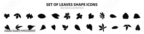 Leaves shape in black isolated vector.