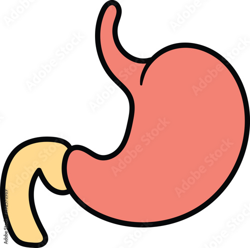 Human stomach digestive organ illustration