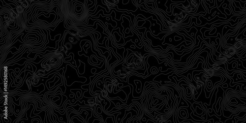 "Ultra-Wide Vector Map Illustration Depicting Conditional Geography, with Black and Grey Contours Representing Terrain Elevations"	
