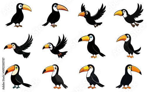 Set of cartoon toucan vector illustrations. Colorful tropical birds, exotic wildlife characters, fun playful animal designs

