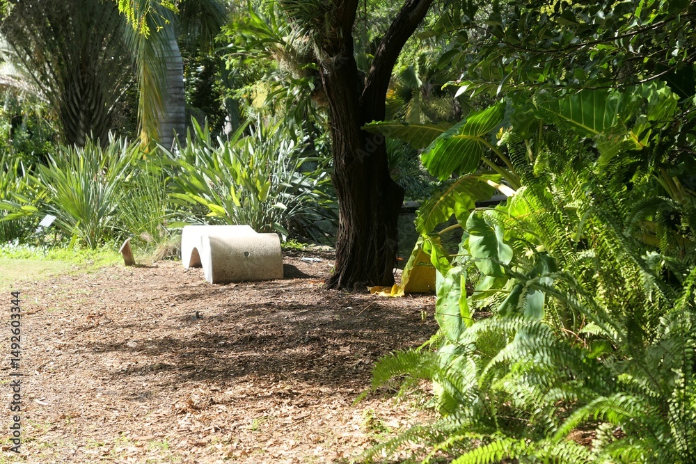 Miami Beach botanical garden. USA, Florida.