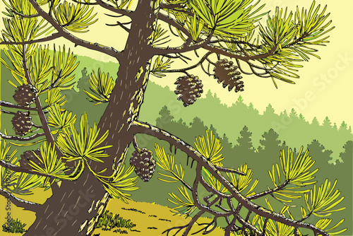 2 pine tree, green pine needles, pine cones, nature, outdoor, forest, landscape, detailed, highly detailed, photorealistic, 8k resolution
