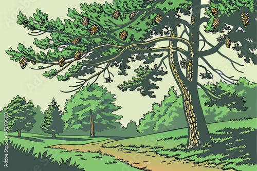 2 pine tree, green pine needles, pine cones, nature, outdoor, forest, landscape, detailed, highly detailed, photorealistic, 8k resolution