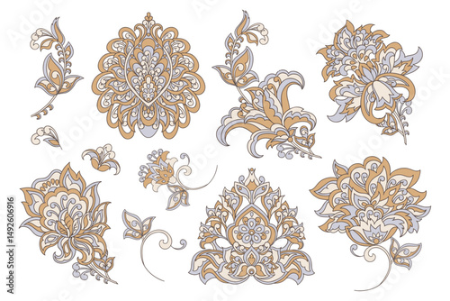 Vector set of isolated elements paisley; flowers and leaf for you own design