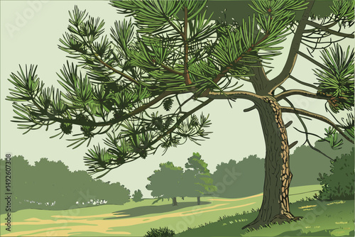 2 pine tree, green pine needles, pine cones, nature, outdoor, forest, landscape, detailed, highly detailed, photorealistic, 8k resolution