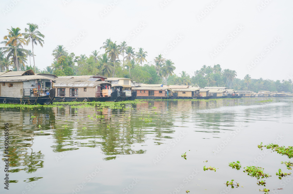 Fototapeta premium Backwater near Alappuzha, Kerala, South India