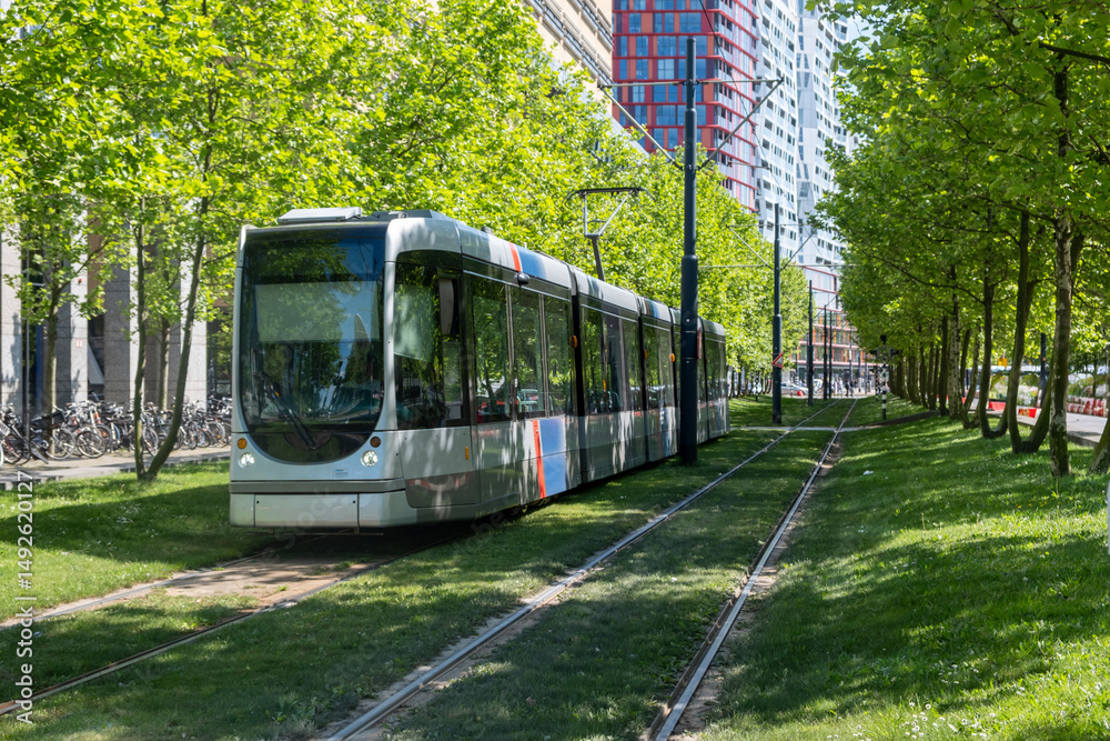 Tram in Rotterdam city, public transportation, sunny day in Netherlands Holland